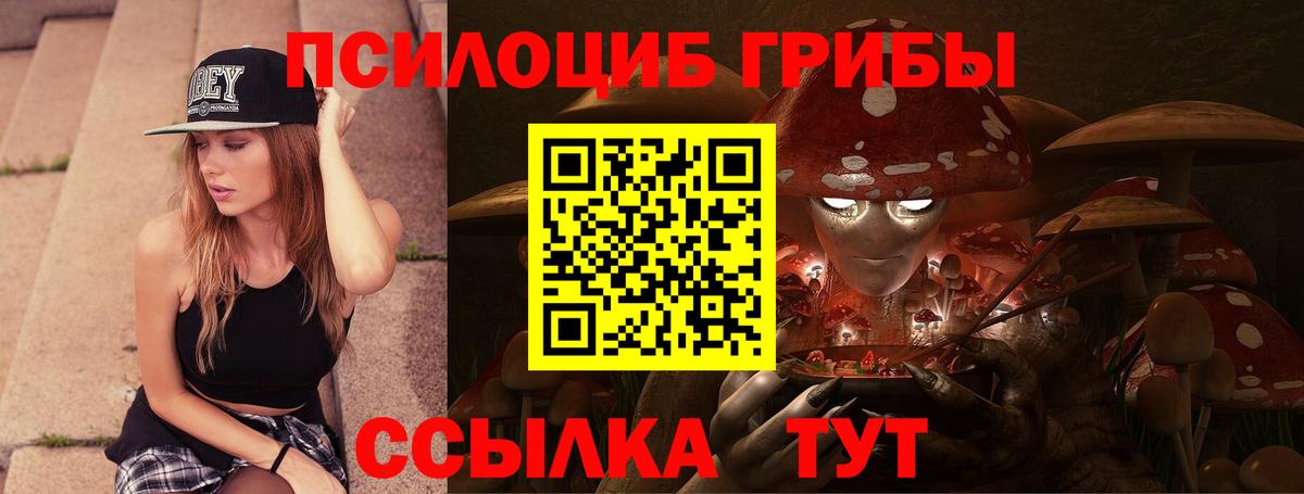 Псилоцибиновые грибы MAGIC MUSHROOMS  Вход с VPN  Псилоцибиновые грибы мицелий  Ефремов 